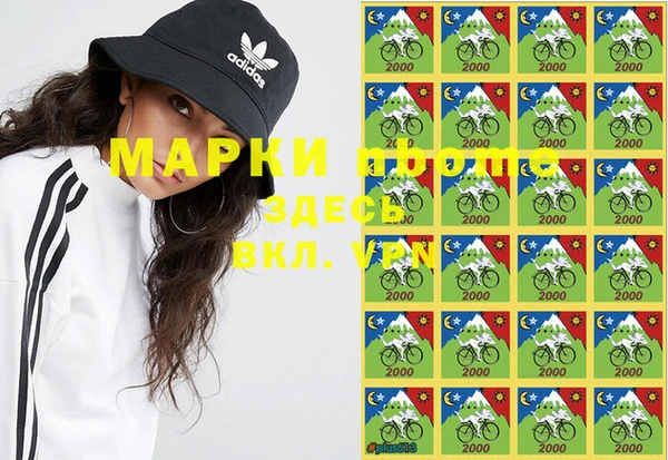 МДПВ Липки